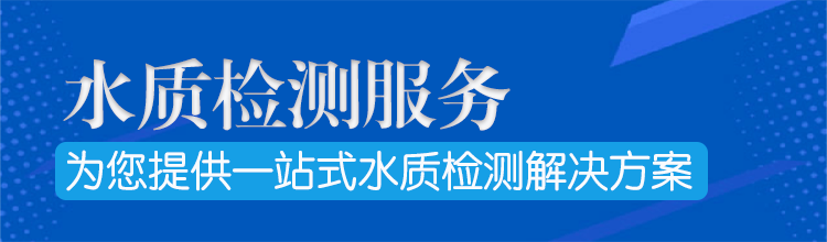 網(wǎng)站欄目